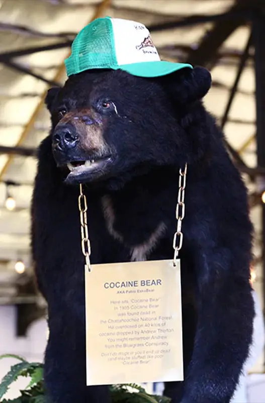 La historia real detrás de Cocaine Bear