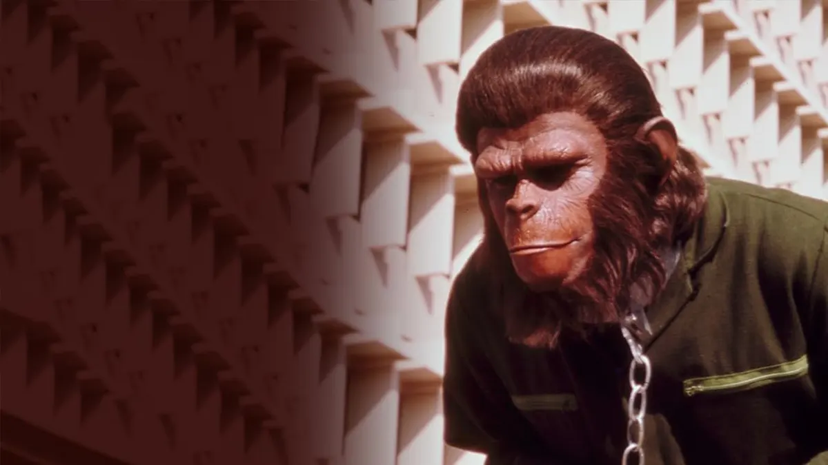 Cesar Escape from the Planet of the Apes 