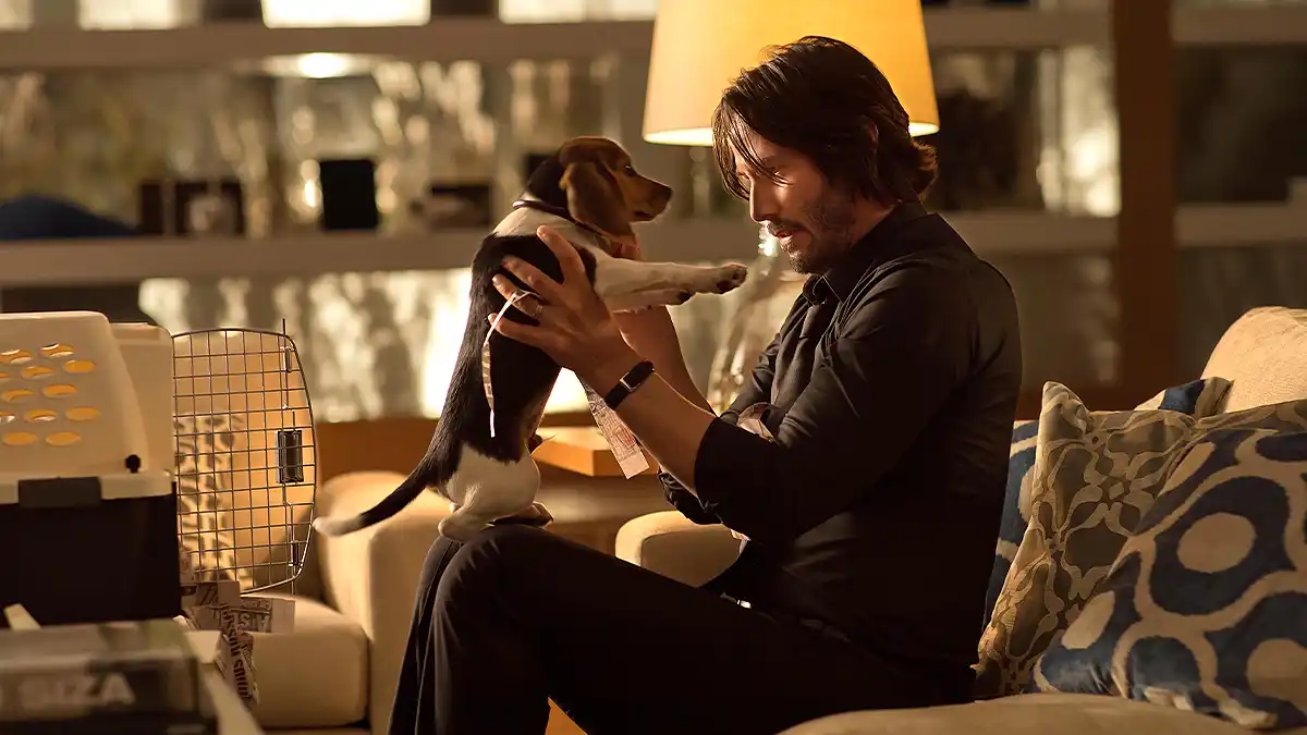 john wick daisy