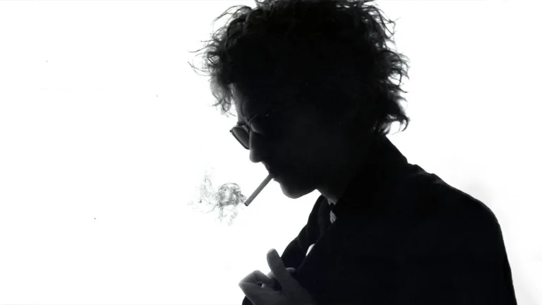 bob dylan actores